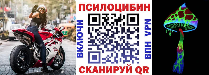 где можно купить наркотик  Кувандык  Псилоцибиновые грибы Psilocybine cubensis 